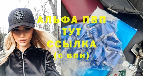 стафф Каменногорск