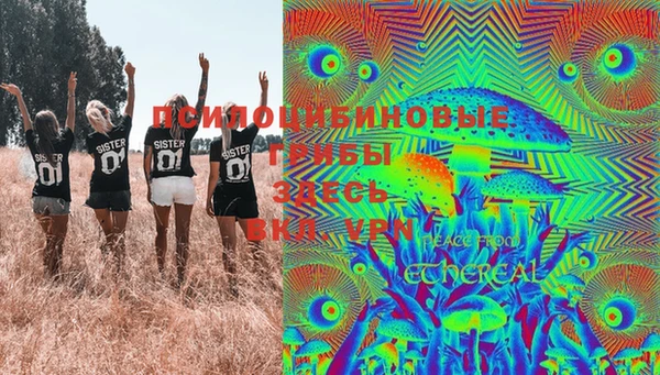 сатива Коряжма
