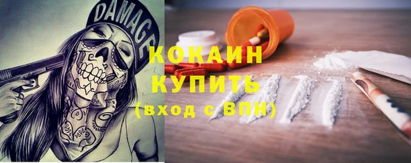 стафф Каменногорск