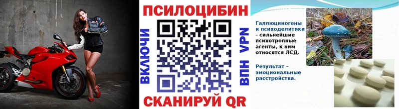 Купить где  Белая Холуница  Галлюциногенные грибы GOLDEN TEACHER 